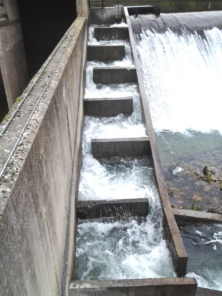 Salto de Peña Corada río Esla León