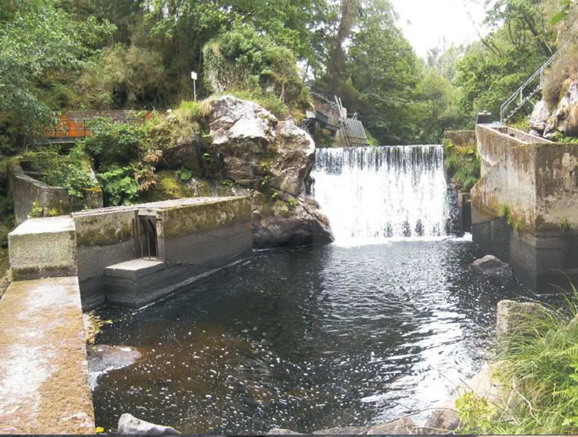 presa chavin