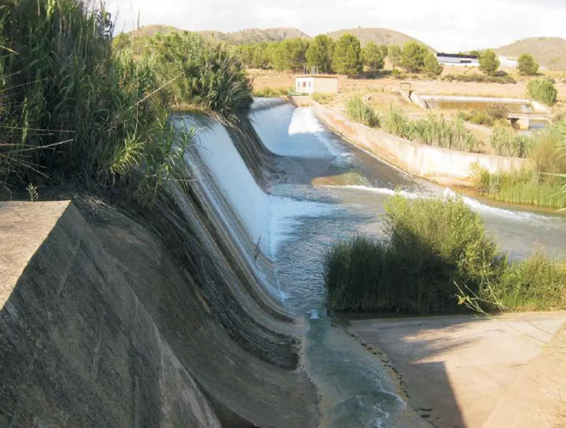 presa tedelche